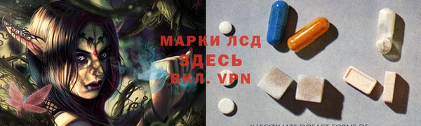 индика Алзамай