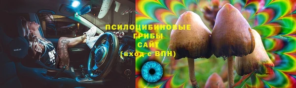 ПСИЛОЦИБИНОВЫЕ ГРИБЫ Абдулино