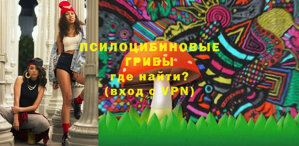 2c-b Горнозаводск