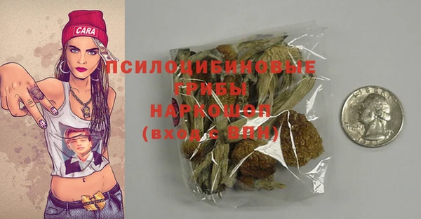 PSILOCYBIN Алексин