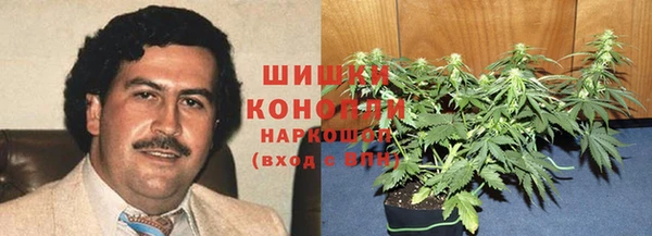 PSILOCYBIN Алексин