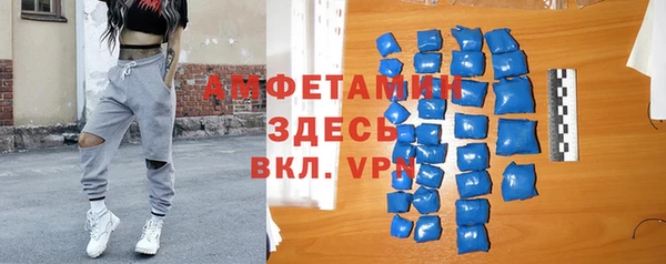 индика Алзамай