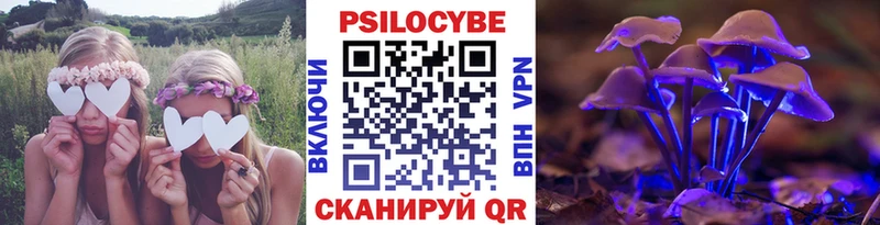 дарк нет как зайти Ак-Довурак Галлюциногенные грибы Cubensis